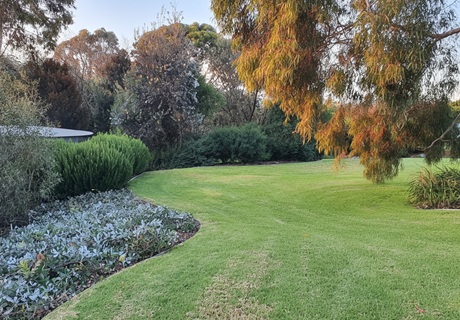 Residential LandscapeDesign Templestowe Botanical Traditions